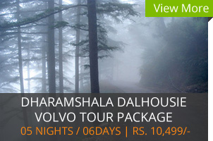 Himachal Volvo Tour Packages