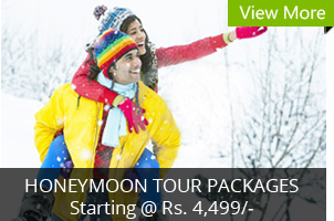 Honeymoon Tour Packages