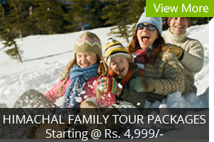 Family Tour Packages